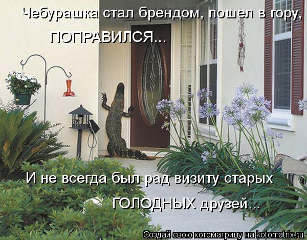 ПОПРАВИЛСЯ... Чебурашка стал брендом, пошел в гору, И не всегда был рад визиту старых ГОЛОДНЫХ друзей... Котоматрица: ПОПРАВИЛСЯ... Чебурашка стал брендом, пошел в гору, И не всегда был рад визиту старых ГОЛОДНЫХ друзей...