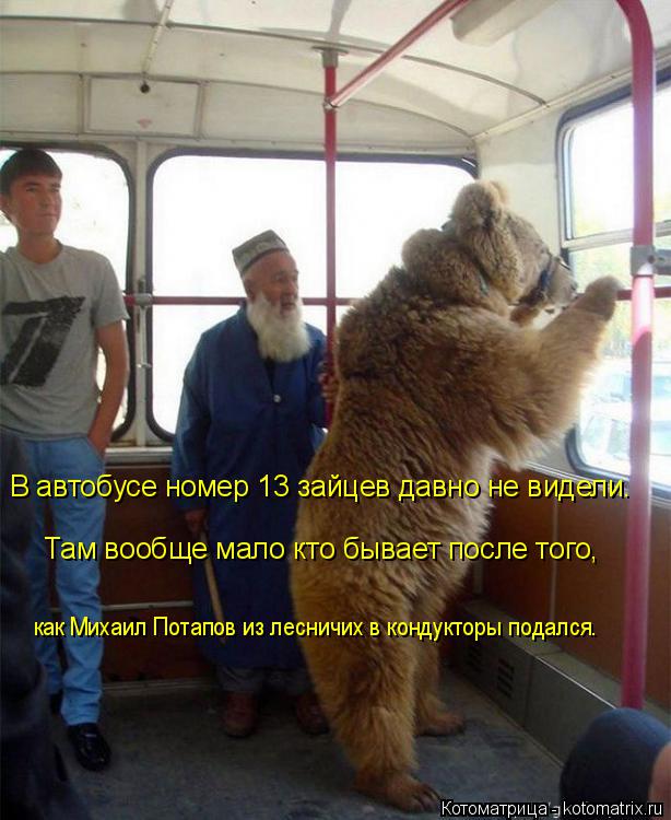 Котоматрица: В автобусе номер 13 зайцев давно не видели. как Михаил Потапов из лесничих в кондукторы подался. Там вообще мало кто бывает после того,