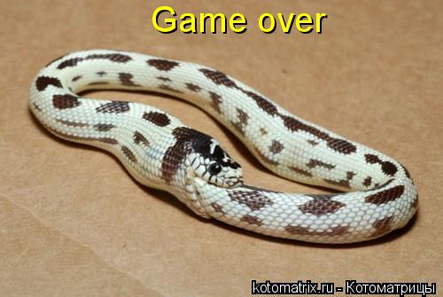 Котоматрица: Game over