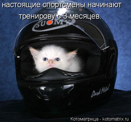 Котоматрица: настоящие спортсмены начинают  тренирову с 3 месяцев.