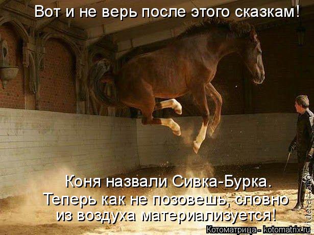 Котоматрица: из воздуха материализуется!  Коня назвали Сивка-Бурка.  Теперь как не позовешь, словно Вот и не верь после этого сказкам!