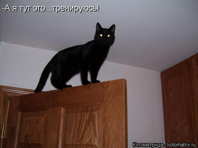-А я тут это...тренируюсь!... Котоматрица: -А я тут это...тренируюсь!