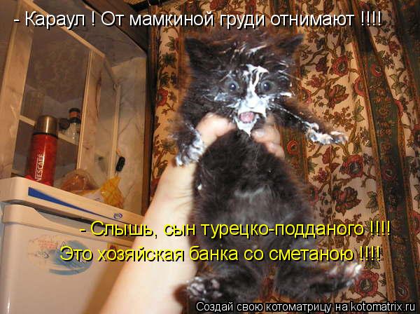 - Караул ! От мамкиной груди отнимают !!!! - Слышь, сын турецко-подданого !!!! Это хозяйская банка со... Котоматрица: - Караул ! От мамкиной груди отнимают !!!! - Слышь, сын турецко-подданого !!!! Это хозяйская банка со сметаною !!!!