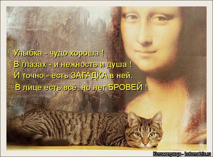 Улыбка - чудо хороша ! В глазах - и нежность и душа ! И точно - есть ЗАГАДКА в ней. В лице есть всё, ... Котоматрица: Улыбка - чудо хороша ! В глазах - и нежность и душа ! И точно - есть ЗАГАДКА в ней. В лице есть всё, но нет БРОВЕЙ !