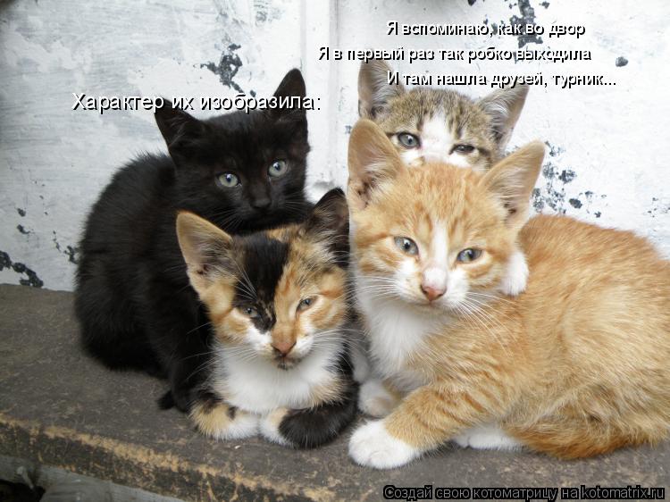 Котоматрица: Я вспоминаю, как во двор Я в первый раз так робко выходила И там нашла друзей, турник... Характер их изобразила: