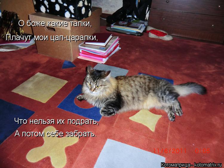 Котоматрица: О боже,какие тапки, Плачут мои цап-царапки, Что нельзя их подрать, А потом себе забрать.