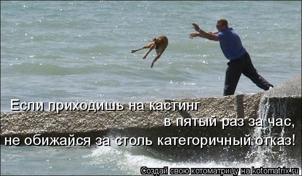 Котоматрица: Если приходишь на кастинг в пятый раз за час, не обижайся за столь категоричный отказ!