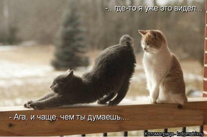 -.. где-то я уже это видел... - Ага, и чаще, чем ты думаешь....... Котоматрица: -.. где-то я уже это видел... - Ага, и чаще, чем ты думаешь....