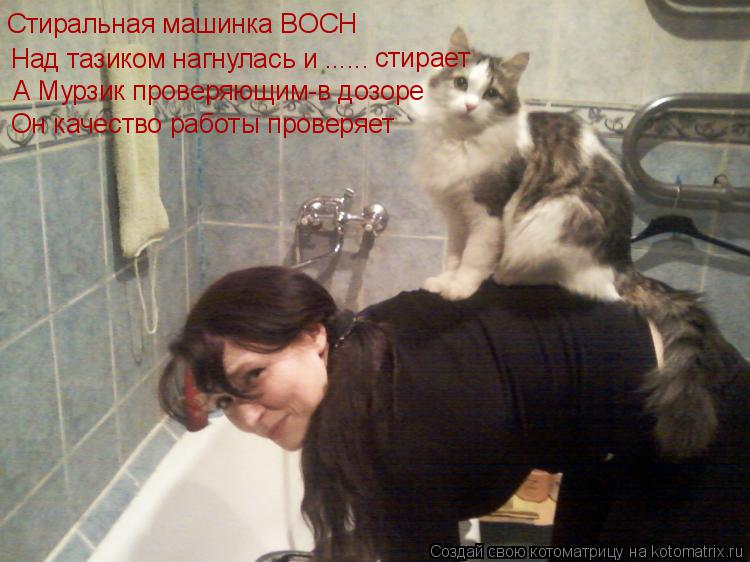 Стиральная машинка BOCH Над тазиком нагнулась и ...... А Мурзик проверяющим-в дозоре стирает Он качес... Котоматрица: Стиральная машинка BOCH Над тазиком нагнулась и ...... А Мурзик проверяющим-в дозоре стирает Он качество работы проверяет