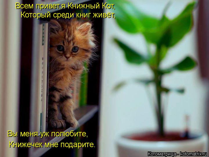 Всем привет,я Книжный Кот, Который среди книг живёт, Вы меня уж полюбите, Книжечек мне подарите.... Котоматрица: Всем привет,я Книжный Кот, Который среди книг живёт, Вы меня уж полюбите, Книжечек мне подарите.