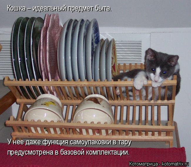 Кошка – идеальный предмет быта. У нее даже функция самоупаковки в тару предусмотрена в базовой компле... Котоматрица: Кошка – идеальный предмет быта. У нее даже функция самоупаковки в тару предусмотрена в базовой комплектации.