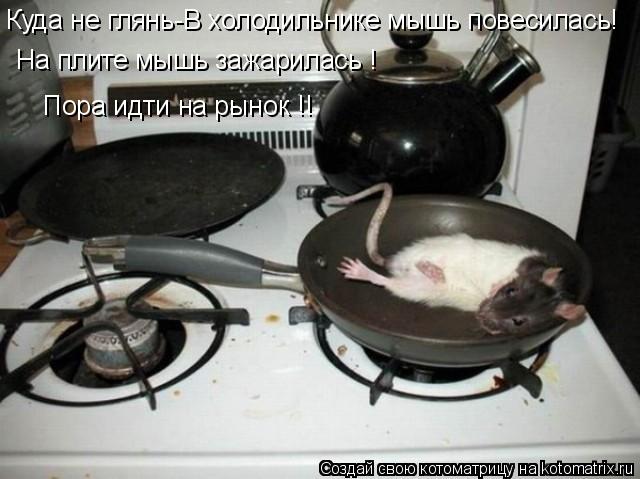 Котоматрица: Куда не глянь-В холодильнике мышь повесилась! На плите мышь зажарилась ! Пора идти на рынок !!