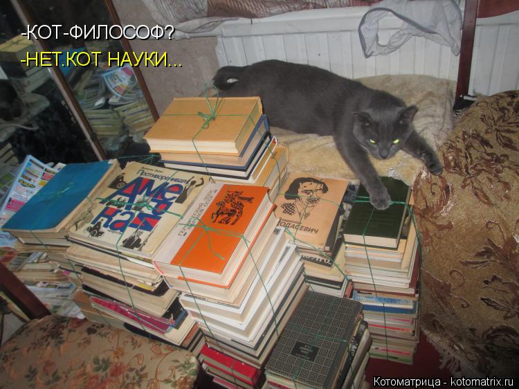 Котоматрица: -КОТ-ФИЛОСОФ? -НЕТ.КОТ НАУКИ...