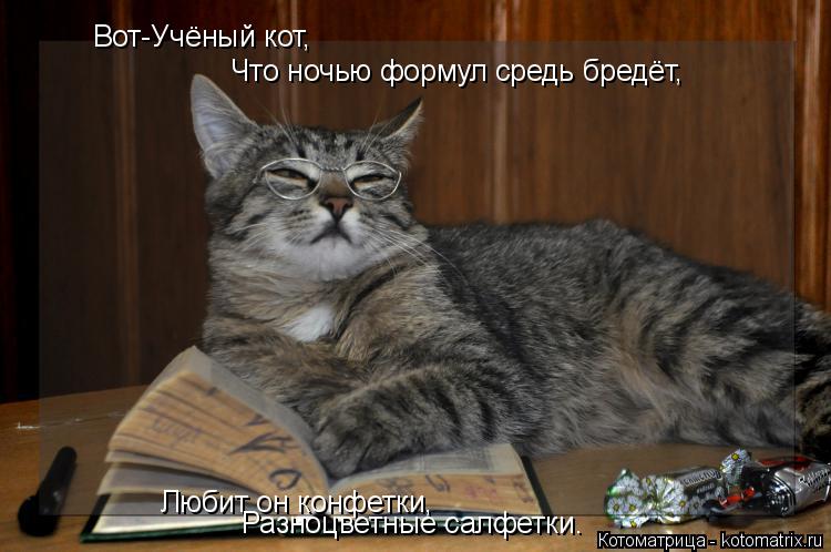 Что ночью формул средь бредёт, Вот-Учёный кот, Любит он конфетки, Разноцветные салфетки.... Котоматрица: Что ночью формул средь бредёт, Вот-Учёный кот, Любит он конфетки, Разноцветные салфетки.