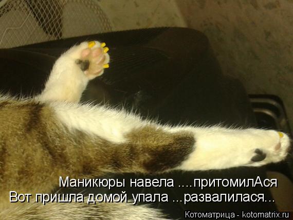 Маникюры навела ....притомилАся Вот пришла домой упала ...развалилася...... Котоматрица: Маникюры навела ....притомилАся Вот пришла домой упала ...развалилася...