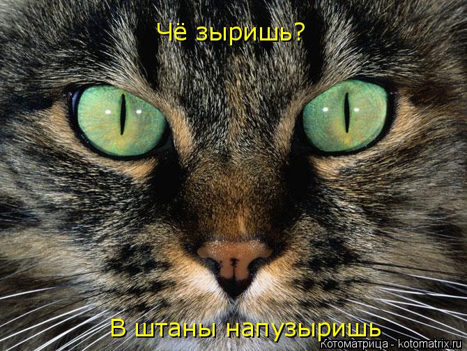 Котоматрица: Чё зыришь? В штаны напузыришь
