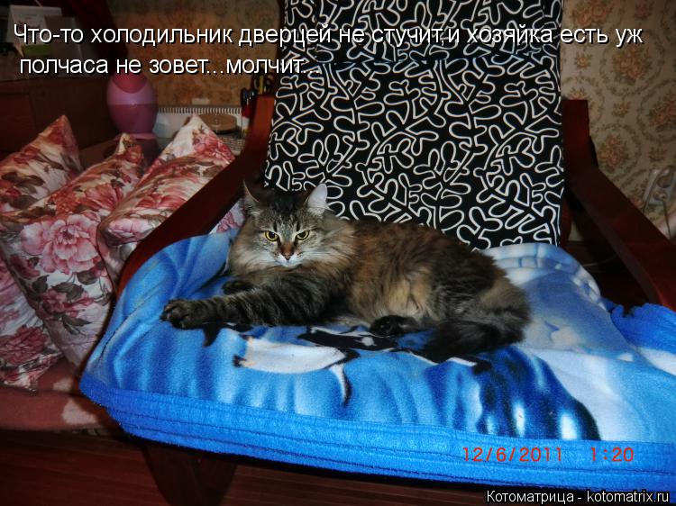 Котоматрица: Что-то холодильник дверцей не стучит,и хозяйка есть уж полчаса не зовет...молчит...