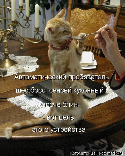 Автоматический пробователь шефбосс, сенсей кухонный короче блин - вот цель этого устройства... Котоматрица: Автоматический пробователь шефбосс, сенсей кухонный короче блин - вот цель этого устройства