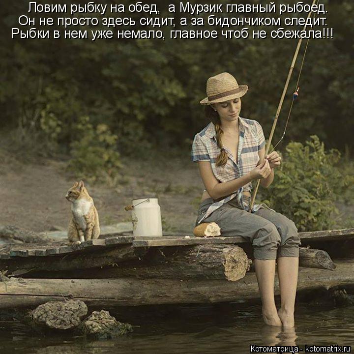 Котоматрица: Ловим рыбку на обед,  а Мурзик главный рыбоед. Он не просто здесь сидит, а за бидончиком следит. Рыбки в нем уже немало, главное чтоб не сбежал