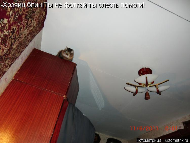 -Хозяин,блин!Ты не фоткай,ты слезть помоги!... Котоматрица: -Хозяин,блин!Ты не фоткай,ты слезть помоги!