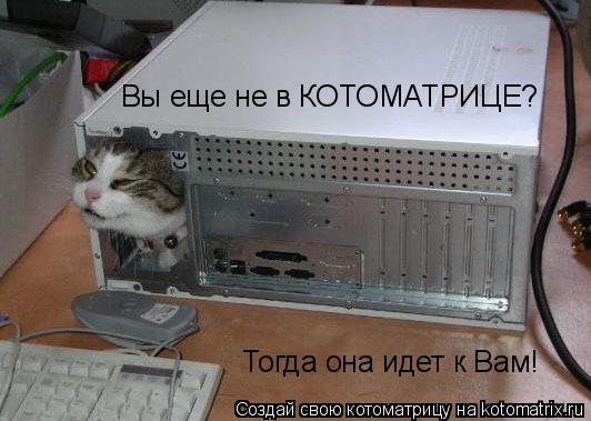 Котоматрица: Вы еще не в КОТОМАТРИЦЕ? Тогда она идет к Вам!