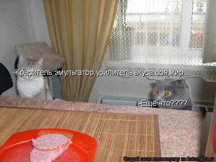 -Краситель,эмульгатор,усилитель вкуса,соя,жир.... -Ещё что????... Котоматрица: -Краситель,эмульгатор,усилитель вкуса,соя,жир.... -Ещё что????