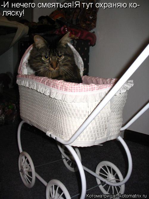 -И нечего смеяться!Я тут охраняю ко- ляску!... Котоматрица: -И нечего смеяться!Я тут охраняю ко- ляску!