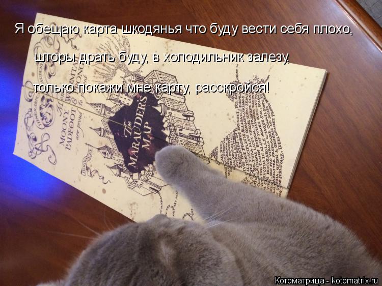 Я обещаю карта шкодянья что буду вести себя плохо, шторы драть буду, в холодильник залезу, только пок... Котоматрица: Я обещаю карта шкодянья что буду вести себя плохо, шторы драть буду, в холодильник залезу, только покажи мне карту, расскройся!