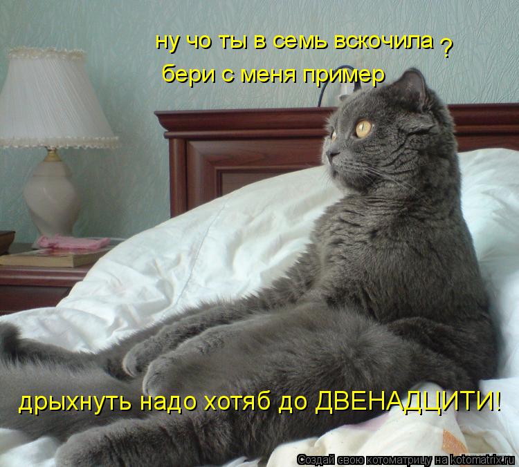 ну чо ты в семь вскочила бери с меня пример дрыхнуть надо хотяб до ДВЕНАДЦИТИ! ?... Котоматрица: ну чо ты в семь вскочила бери с меня пример дрыхнуть надо хотяб до ДВЕНАДЦИТИ! ?