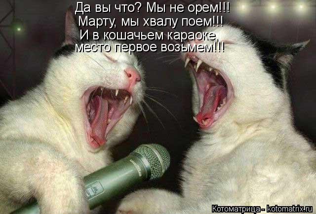 Да вы что? Мы не орем!!! Марту, мы хвалу поем!!! И в кошачьем караоке, место первое возьмем!!!... Котоматрица: Да вы что? Мы не орем!!! Марту, мы хвалу поем!!! И в кошачьем караоке, место первое возьмем!!!