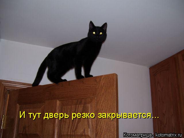 И тут дверь резко закрывается...... Котоматрица: И тут дверь резко закрывается...