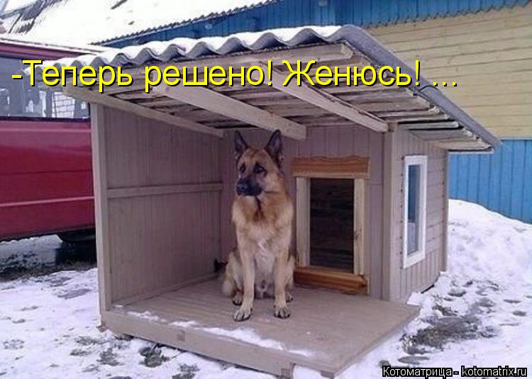 -Теперь решено! Женюсь! ...... Котоматрица: -Теперь решено! Женюсь! ...
