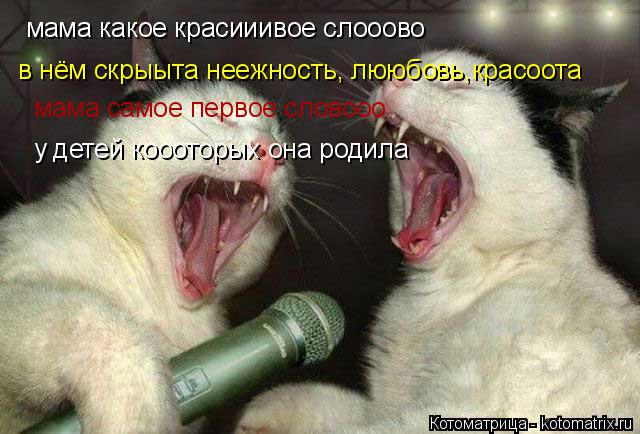 Котоматрица: мама какое красииивое слооово в нём скрыыта неежность, лююбовь,красоота мама самое первое словооо у детей коооторых она родила