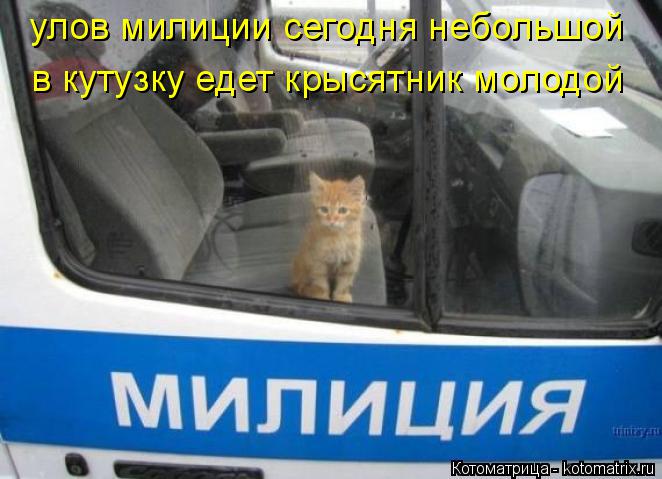 улов милиции сегодня небольшой в кутузку едет крысятник молодой... Котоматрица: улов милиции сегодня небольшой в кутузку едет крысятник молодой