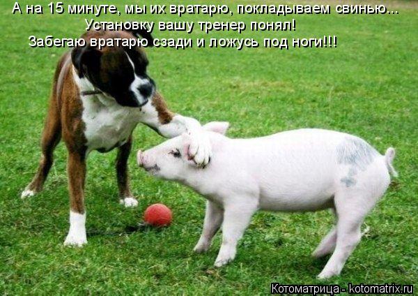 А на 15 минуте, мы их вратарю, покладываем свинью... Установку вашу тренер понял! Забегаю вратарю сза... Котоматрица: А на 15 минуте, мы их вратарю, покладываем свинью... Установку вашу тренер понял! Забегаю вратарю сзади и ложусь под ноги!!!