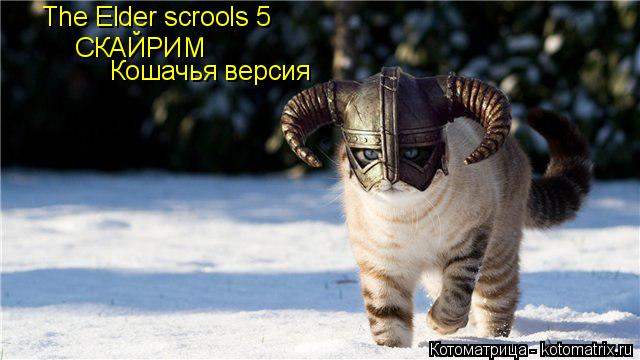 СКАЙРИМ Кошачья версия The Elder scrools 5... Котоматрица: СКАЙРИМ Кошачья версия The Elder scrools 5