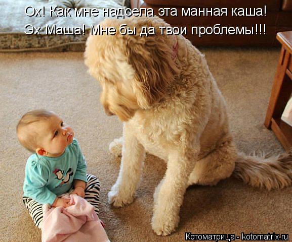 Ох! Как мне надоела эта манная каша! Эх Маша! Мне бы да твои проблемы!!!... Котоматрица: Ох! Как мне надоела эта манная каша! Эх Маша! Мне бы да твои проблемы!!!