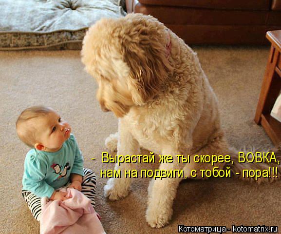 Котоматрица: -  Вырастай же ты скорее, ВОВКА, нам на подвиги, с тобой - пора!!!