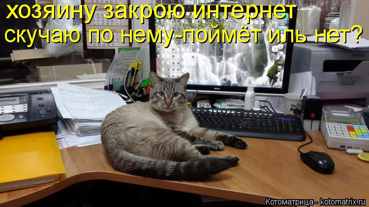 хозяину закрою интернет скучаю по нему-поймёт иль нет?... Котоматрица: хозяину закрою интернет скучаю по нему-поймёт иль нет?
