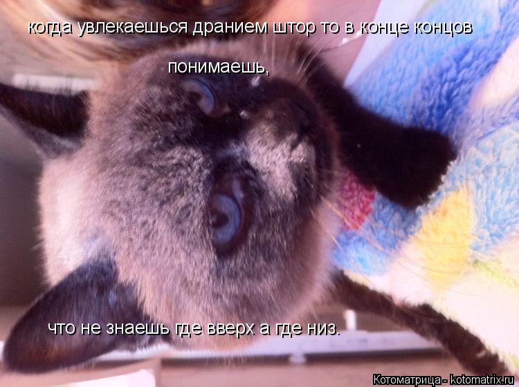 когда увлекаешься дранием штор то в конце концов понимаешь, что не знаешь где вверх а где низ.... Котоматрица: когда увлекаешься дранием штор то в конце концов понимаешь, что не знаешь где вверх а где низ.