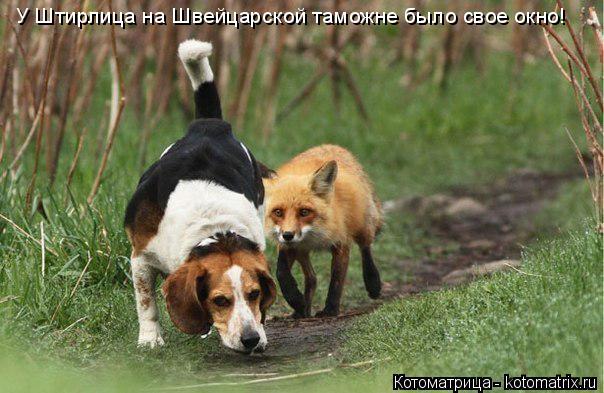 У Штирлица на Швейцарской таможне было свое окно!... Котоматрица: У Штирлица на Швейцарской таможне было свое окно!
