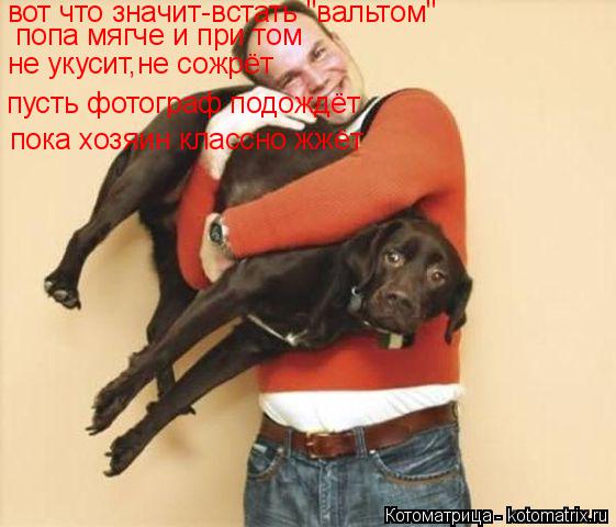 вот что значит-встать "вальтом" попа мягче и при том не укусит,не сожрёт пусть фотограф подождёт пока... Котоматрица: вот что значит-встать "вальтом" попа мягче и при том не укусит,не сожрёт пусть фотограф подождёт пока хозяин классно жжёт