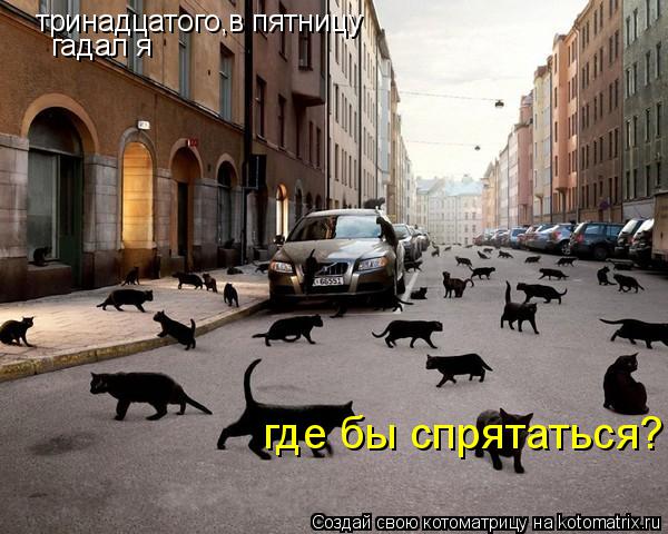 тринадцатого,в пятницу гадал я где бы спрятаться?... Котоматрица: тринадцатого,в пятницу гадал я где бы спрятаться?