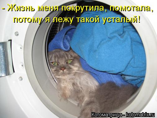 - Жизнь меня покрутила, помотала, потому я лежу такой усталый!... Котоматрица: - Жизнь меня покрутила, помотала, потому я лежу такой усталый!