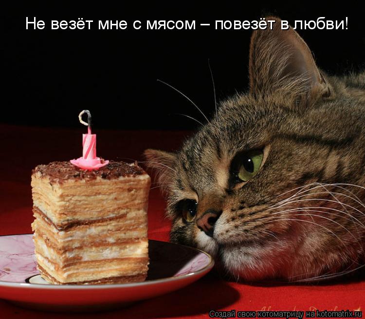 Не везёт мне с мясом – повезёт в любви!... Котоматрица: Не везёт мне с мясом – повезёт в любви!