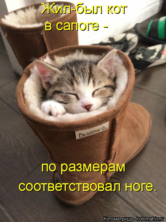 Жил-был кот в сапоге - по размерам соответствовал ноге.... Котоматрица: Жил-был кот в сапоге - по размерам соответствовал ноге.