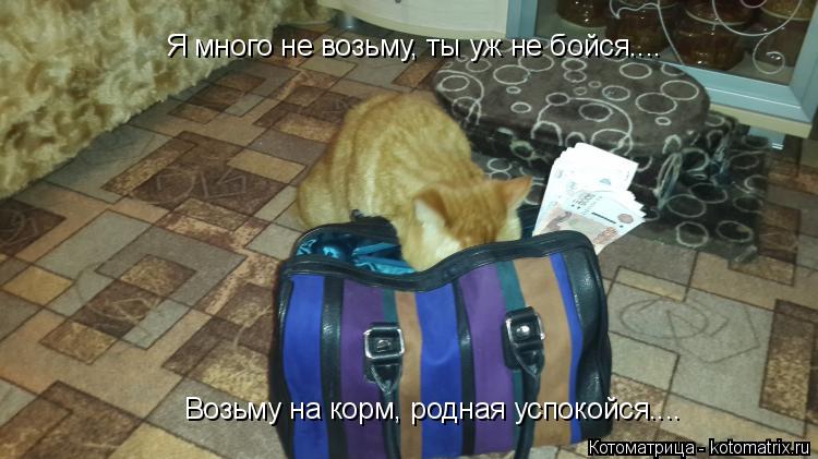 Я много не возьму, ты уж не бойся.... Возьму на корм, родная успокойся....... Котоматрица: Я много не возьму, ты уж не бойся.... Возьму на корм, родная успокойся....