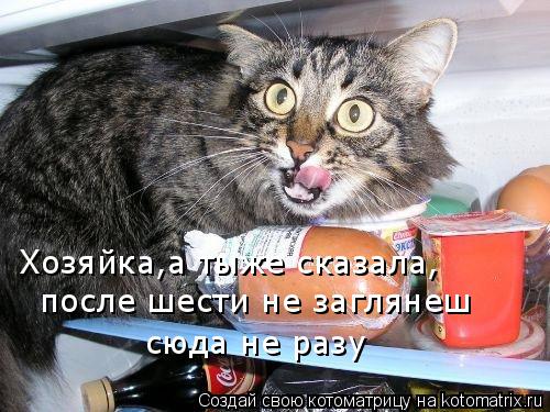 Хозяйка,а тыже сказала, после шести не заглянеш сюда не разу... Котоматрица: Хозяйка,а тыже сказала, после шести не заглянеш сюда не разу