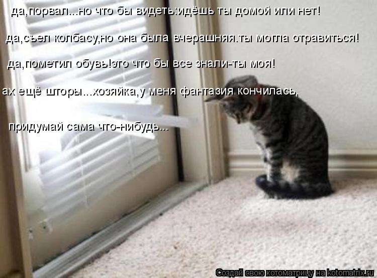да,съел колбасу,но она была вчерашняя.ты могла отравиться! да,порвал...но что бы видеть:идёшь ты домо... Котоматрица: да,съел колбасу,но она была вчерашняя.ты могла отравиться! да,порвал...но что бы видеть:идёшь ты домой или нет! да,пометил обувь!это что бы все
