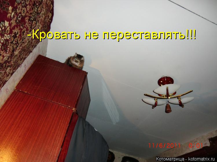 -Кровать не переставлять!!!... Котоматрица: -Кровать не переставлять!!!